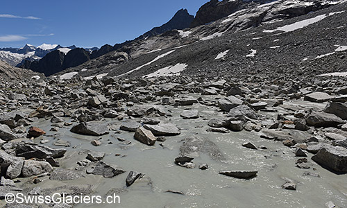 Gruebengletscher: Gletschervorfeld am 9.8.2019.