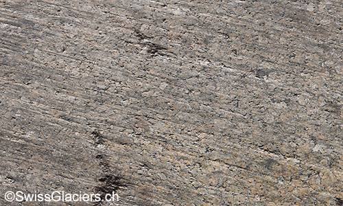 Feine Gletscherschrammen auf Gletscherschlif vor dem Rhonegletscher am 5.7.2019