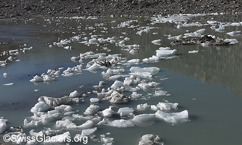 Kleine Eisschollen auf dem See vor dem Tiefengletscher am 15.7.2022.
