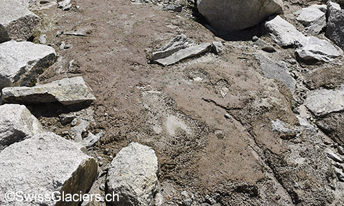 Sandige Flächen in unmittelbarer Nähe des Tiefengletschers am 4.8.2019.