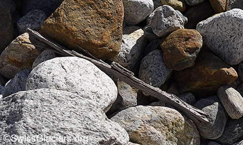 45cm langes Holzstück. Fund vom 11. Juni 2022