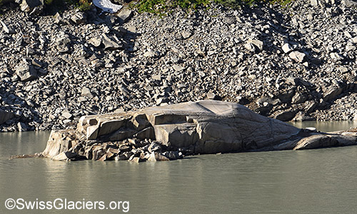Rundhöcker im Grimselsee. Foto vom 11. Juni 2022