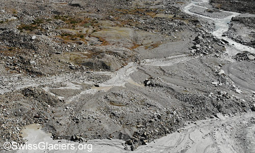 Vegetation im Gletschervorfeld des Unteraargletschers aus der Vogelperspektive am 19. September 2025.