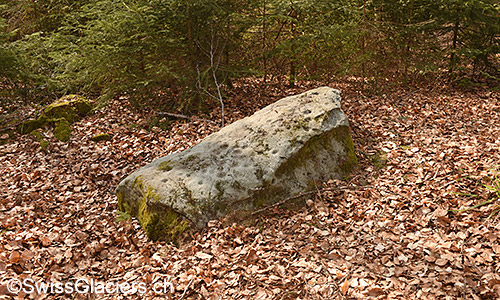Findling mit sog. Schalen (Schalenstein)