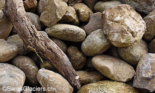 Symbol image for wood and peat findings