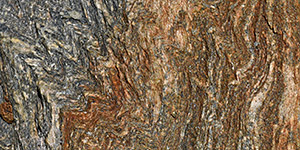 Natis.ch - Informationen und Fotos zu verschiedenen Themen aus der Natur